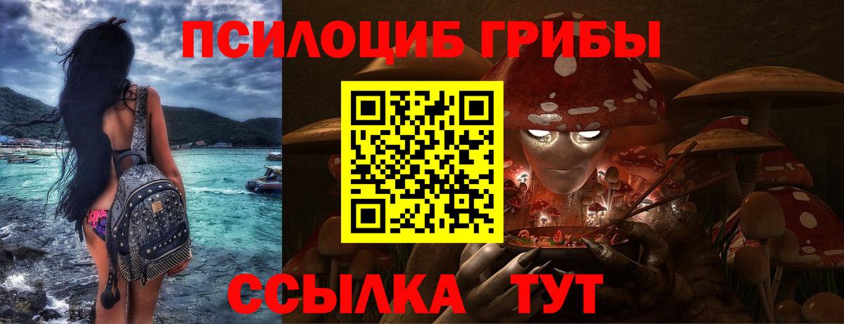 Златоуст  Галлюциногенные грибы Magic Shrooms  Вход с VPN  Галлюциногенные грибы GOLDEN TEACHER 