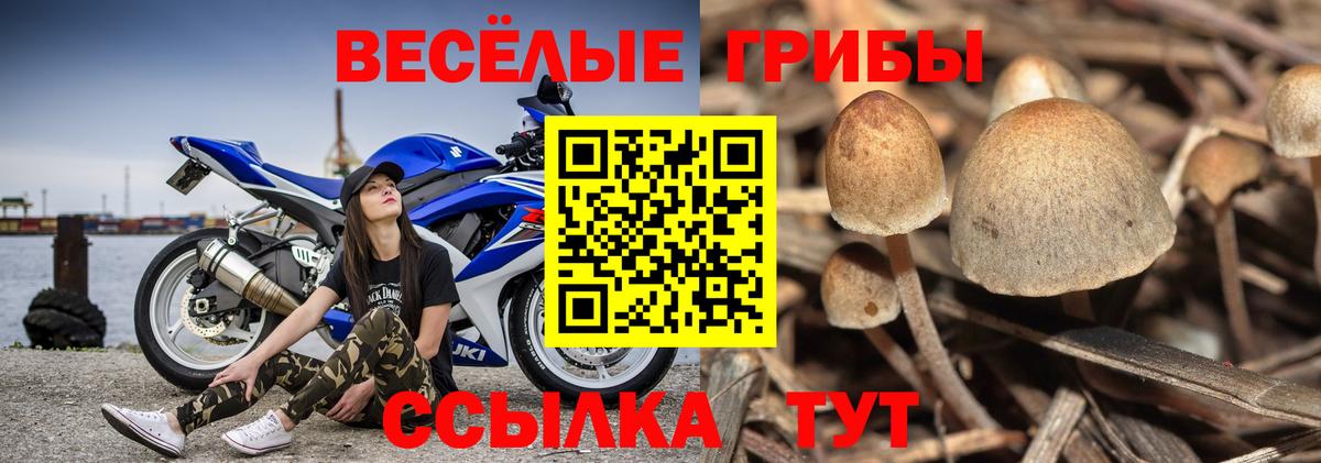 Галлюциногенные грибы прущие грибы Златоуст